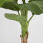 Artificial Royal Banana Tree 120cm