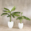 Artificial Royal Banana Tree 180cm