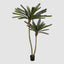 Cycus Palm Tree 220cm