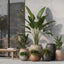 Bird of Paradise Real Touch 120cm