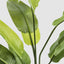 Bird of Paradise Real Touch 160cm