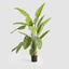 Bird of Paradise Real Touch 180cm