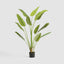 Bird of Paradise Real Touch 210cm