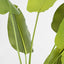 Bird of Paradise Real Touch 210cm