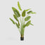 Bird of Paradise Real Touch 240cm