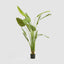 Bird of Paradise Real Touch 240cm