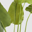 Bird of Paradise Real Touch 240cm
