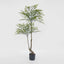 Green Nandina Tree 140cm
