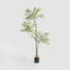 Green Nandina Tree 170cm