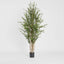 Eucalyptus Mini Leaf Tree 180cm Green (Set of 2)