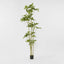 Real Touch Frangipani Tree 210cm