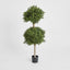 Artificial Boxwood Double Ball Tree 1.1m (re B35) - House of Isabella AU