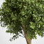 Artificial Boxwood Double Ball Tree 1.1m (re B35) - House of Isabella AU