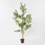 Verdant Olive Tree 180cm