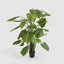 Real Touch Taro Tree 210cm