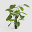 Real Touch Taro Tree 210cm