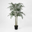 Ruscus Potted Tree 160cm