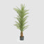 Real Touch Palm Tree