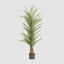 Real Touch Palm Tree