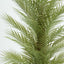 Real Touch Palm Tree