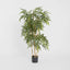 Bamboo Tree 1.2m