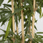 Bamboo Tree 1.2m