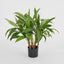Artificial Cordyline Tree x7 70cm - House of Isabella AU