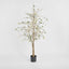 Cherry Blossom Tree 1.8m
