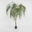 Artificial 1.8m Chinese Willow Tree w 1950 Lvs - House of Isabella AU
