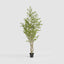 Real Touch Variegated Ficus 270cm