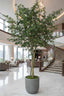 Artificial Ficus Exotica Giant Tree 6600 Lvs 3.05M - House of Isabella AU
