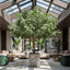 Artificial Ficus Exotica Giant U Type 9680 Lvs 3M - House of Isabella AU