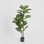 Artificial 113cm Fiddle Leaf Tree - House of Isabella AU