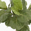 Artificial 1.2m Fiddle Leaf Tree w/42 Lvs - House of Isabella AU