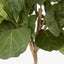 Artificial 215cm Fiddle Leaf Tree w/61 Lvs