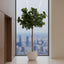 Artificial 215cm Fiddle Leaf Tree w/61 Lvs