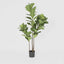 Artificial Fiddle Leaf Tree 168cm - House of Isabella AU