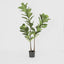 Artificial Fiddle Leaf Tree 168cm - House of Isabella AU