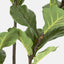 Artificial Fiddle Leaf Tree 168cm - House of Isabella AU