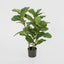 Artificial 93cm Fiddle Leaf Tree x 3 w/45 Lvs - House of Isabella AU