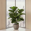 Artificial 93cm Fiddle Leaf Tree x 3 w/45 Lvs - House of Isabella AU