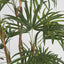 Artificial 1.2m Honey Lady Palm x7 432 Lvs - House of Isabella AU