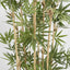 Japanese Bamboo Tree 1.2m
