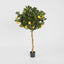 Artificial Golden Lemon Tree 90cm - House of Isabella AU