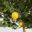 Artificial Golden Lemon Tree 90cm - House of Isabella AU