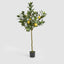 UV Lemon Tree 150cm