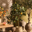 UV Lemon Tree 150cm