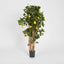 Artificial Lemon Tree 91cm 1026Lvs - House of Isabella AU