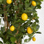Artificial Lemon Tree 91cm 1026Lvs - House of Isabella AU