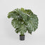 Artificial 98 cm Monstera Split Philo w/18 Lv - House of Isabella AU